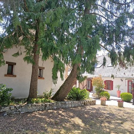 L'Escale Solognote Leilighet Tour-en-Sologne Eksteriør bilde